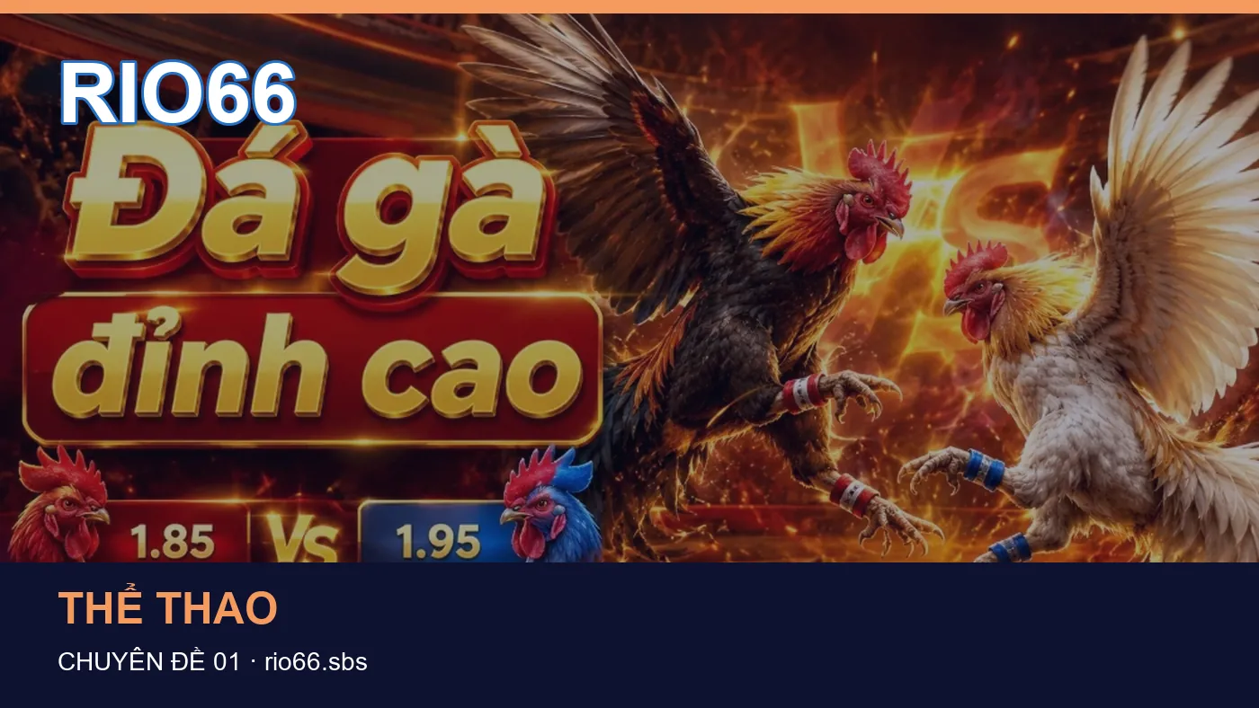 Trải nghiệm Thể thao trên điện thoại cùng cẩm nang RIO66