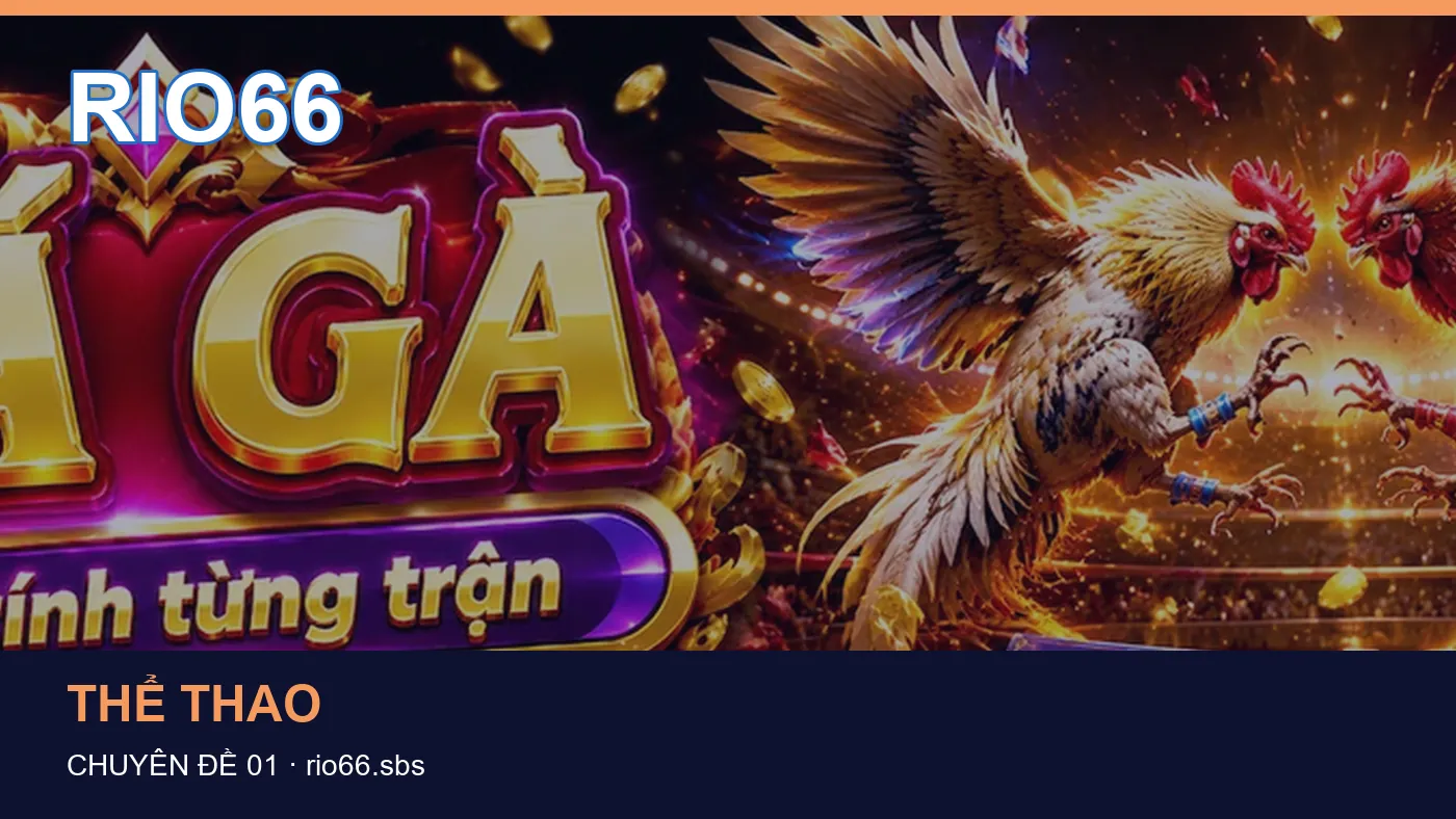 Đối chiếu nguồn và thời điểm cập nhật trong Slot của RIO66